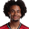 Joshua Orobosa Zirkzee